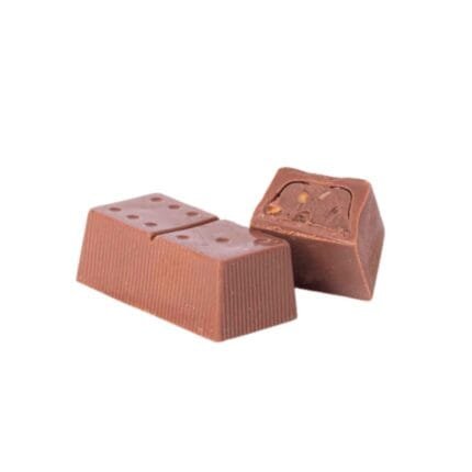 Domino Gaudiga
