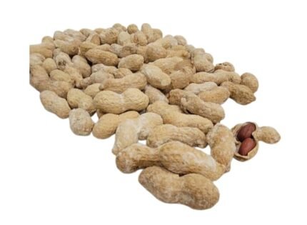 Salted Peanut